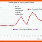 LÃ¶sungen Fuer Phasen Einer Infektionskrankheit Arbeitsblatt