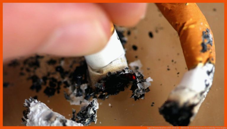 Logo!: Warum Rauchen schÃ¤dlich ist - ZDFtivi für arbeitsblatt rauchen schädigt viele organe