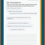 Lunge Und Gasaustausch Fuer Gasaustausch Lungenbläschen Arbeitsblatt