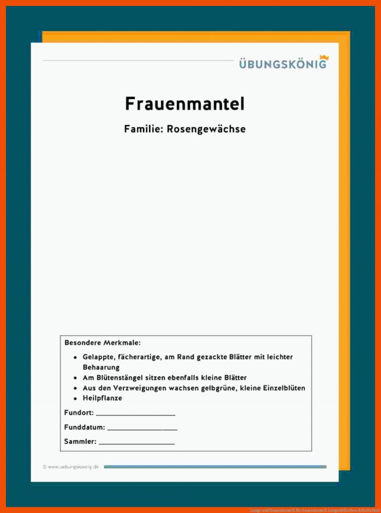 Lunge und Gasaustausch für gasaustausch lungenbläschen arbeitsblatt