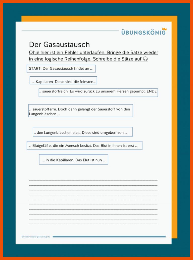 Lunge und Gasaustausch für gasaustausch lungenbläschen arbeitsblatt