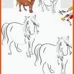 Malen Pferd Vektor Vektoren Stockfotos Und -bilder Kaufen - Alamy Fuer Arbeitsblatt Pferd Biologie