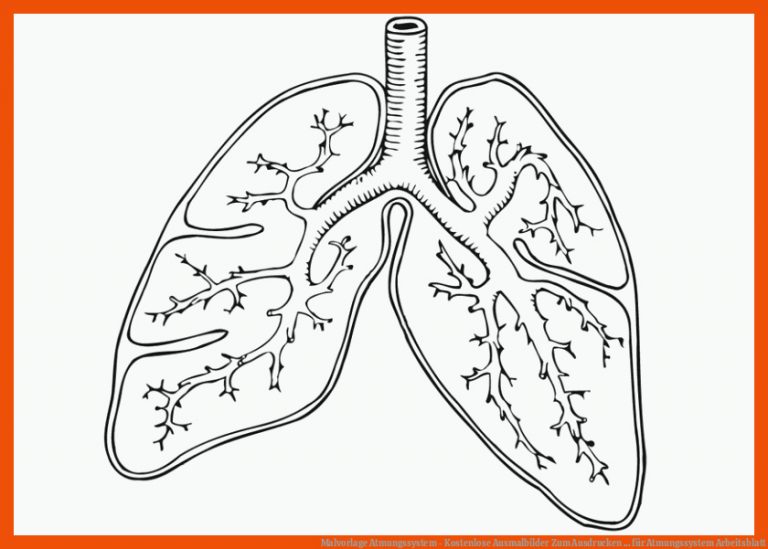 Malvorlage Atmungssystem - Kostenlose Ausmalbilder Zum Ausdrucken ... für atmungssystem arbeitsblatt
