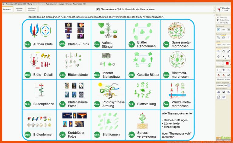 Mastertool Themenpaket: Biologie - Pflanzenkunde 1 - Arus Media für blütendiagramm arbeitsblatt