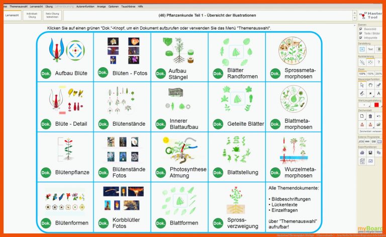 Mastertool themenpaket: Biologie - Pflanzenkunde 1 - Arus Media Fuer Blütendiagramm Arbeitsblatt