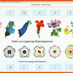 Mastertool themenpaket: Biologie - Pflanzenkunde 1 - Arus Media Fuer Blütendiagramm Arbeitsblatt