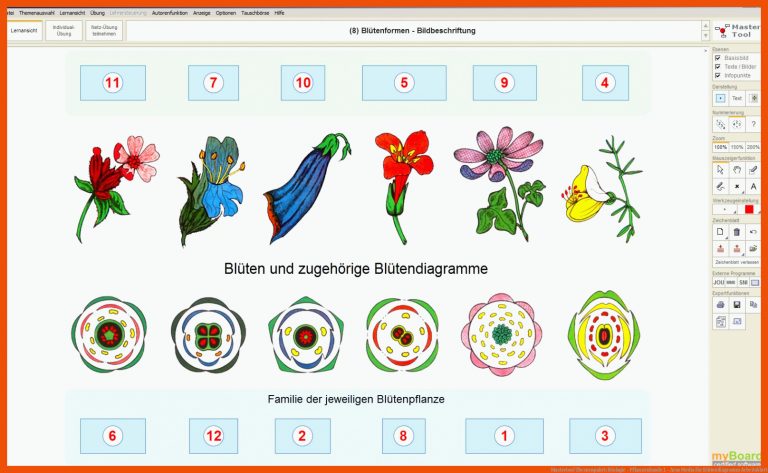 Mastertool Themenpaket: Biologie - Pflanzenkunde 1 - Arus Media für blütendiagramm arbeitsblatt