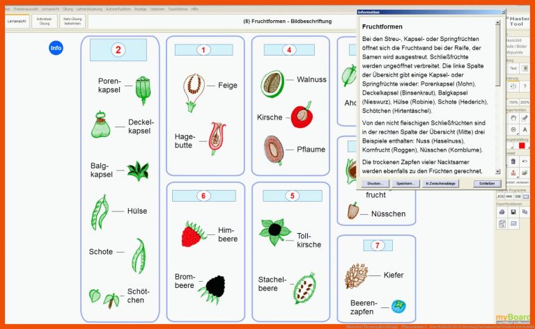 Mastertool Themenpaket: Biologie - Pflanzenkunde 2 - Arus Media für die verbreitung von samen und früchten arbeitsblatt