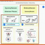 Mastertool themenpaket: Biologie - Pflanzenkunde 2 - Arus Media Fuer Verbreitung Von Früchten Und Samen Arbeitsblatt