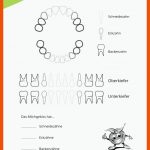 Materialien FÃ¼r Die Volksschule - Gesundes Salzburg Fuer Entstehung Karies Arbeitsblatt