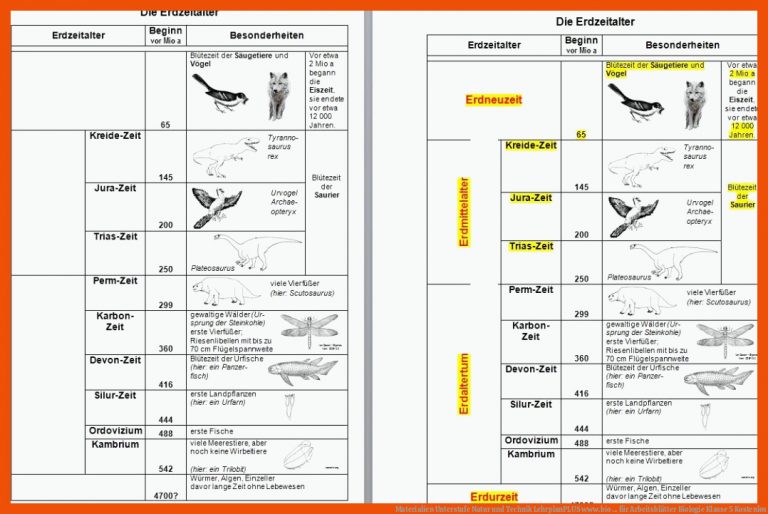 Materialien Unterstufe Natur und Technik LehrplanPLUS | www.bio ... für arbeitsblätter biologie klasse 5 kostenlos