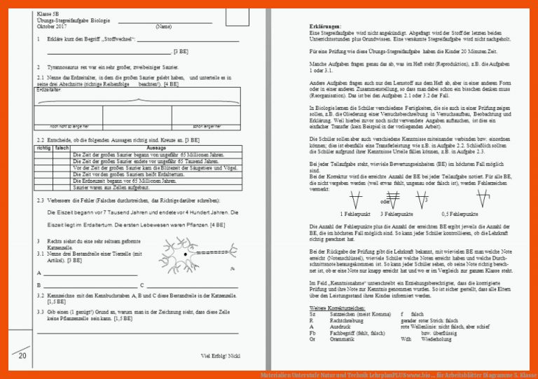 Materialien Unterstufe Natur und Technik LehrplanPLUS | www.bio ... für arbeitsblätter diagramme 5. klasse