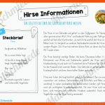 Materialpaket Hirse (16 ArbeitsblÃ¤tter) Fuer Von Der Aussaat Bis Zur Ernte Arbeitsblatt
