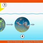 Meere & Ozeane Ii - Nutzung Der Weltmeere Meere Als Nahrungsquelle (1) Fuer Weltmeere Arbeitsblatt