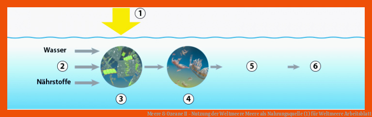 Meere & Ozeane II - Nutzung der Weltmeere Meere als Nahrungsquelle (1) für weltmeere arbeitsblatt