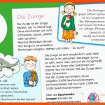 Mein KÃ¶rper! - Gesund Macht Schule Fuer Erste Hilfe Kindergarten Arbeitsblätter