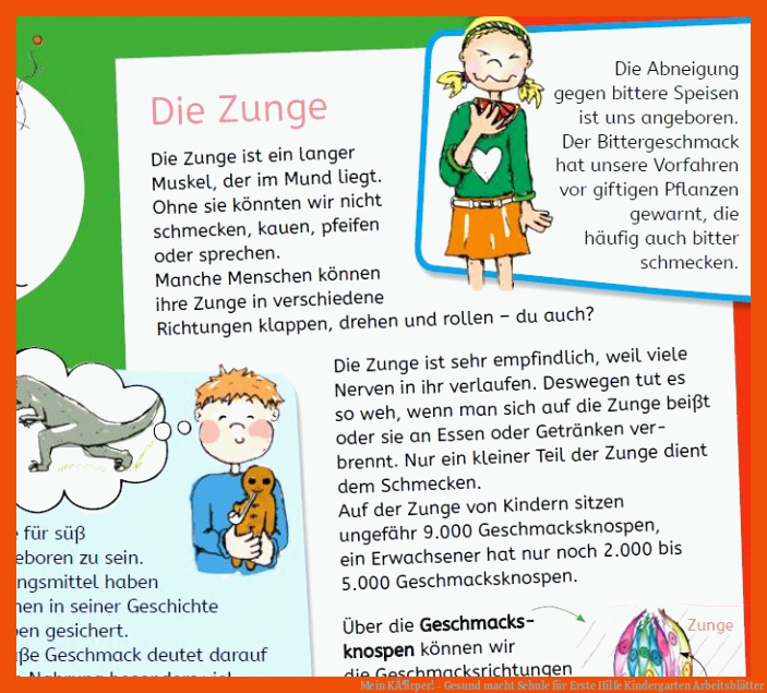 Mein KÃ¶rper! - Gesund macht Schule für erste hilfe kindergarten arbeitsblätter