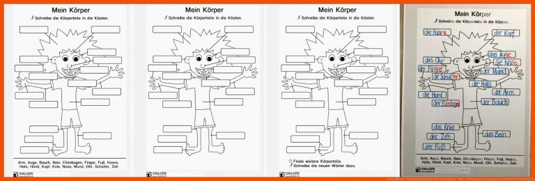 Mein KÃ¶rper - Menschenposter mit einer ersten Klasse - Blog ... für deutsch als zweitsprache arbeitsblätter körperteile