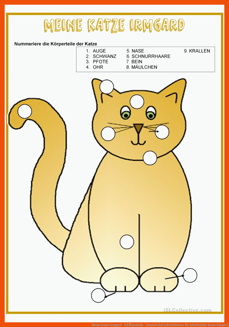 Meine Katze Irmgard - KÃ¶rperteile - Deutsch Daf Arbeitsblatter für arbeitsblatt katze klasse 5