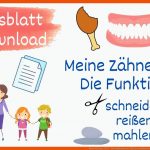 Meine ZÃ¤hne Teil 2 - Die Funktionen Der ZÃ¤hne, Sachunterricht Grundschule - Mit Arbeitsblatt Fuer Zähne Arbeitsblatt