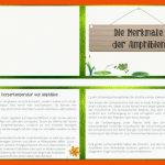 Merkheft - Die Merkmale Der Amphibien Fuer Amphibien Merkmale Arbeitsblatt