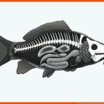 Merkmale Der Fische Biologie Schubu Fuer Friedfisch Und Raubfisch Arbeitsblatt