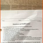 MerkmalsÃ¤nderung Mutation O. Modifikation? (computer, Biologie) Fuer Mutation Und Modifikation Arbeitsblatt Lösungen
