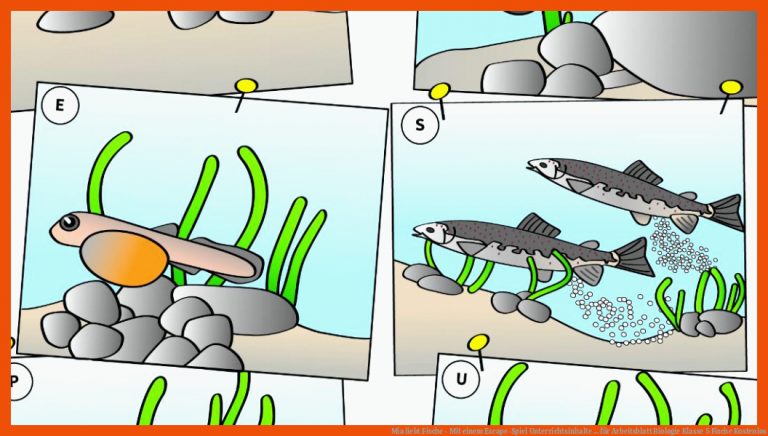 Mia liebt Fische - Mit einem Escape-Spiel Unterrichtsinhalte ... für arbeitsblatt biologie klasse 5 fische kostenlos