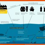 Mikroplastik Das Blaue Klassenzimmer Fuer Nahrungskette Meer Arbeitsblatt