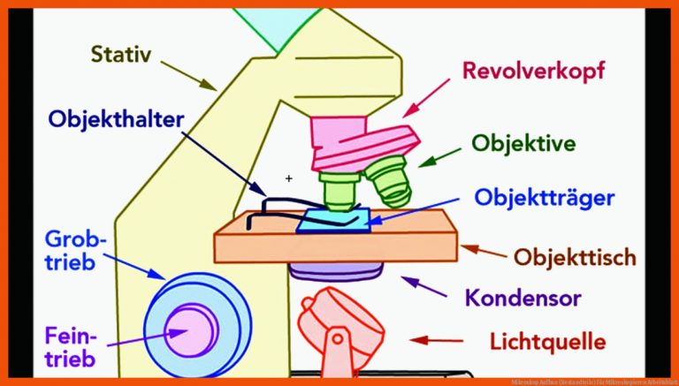 Mikroskop Aufbau (bestandteile) Fuer Mikroskopieren Arbeitsblatt