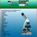 Mikroskop Biologie ArbeitsblÃ¤tter Schulaufgabe Pdf Fuer Mikroskop Aufbau Und Funktion Arbeitsblatt