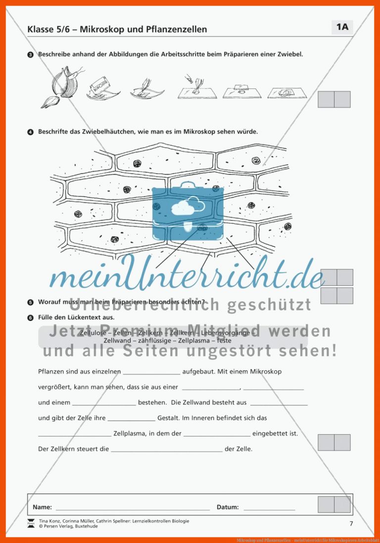 Mikroskop und Pflanzenzellen - meinUnterricht für mikroskopieren arbeitsblatt