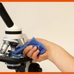 Mikroskopieren Schule: Die 8 HÃ¤ufigsten Fehler Im Unterricht Fuer Mikroskop Aufbau Und Funktion Arbeitsblatt