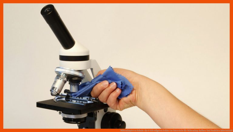 Mikroskopieren Schule: die 8 hÃ¤ufigsten Fehler im Unterricht für mikroskop aufbau und funktion arbeitsblatt