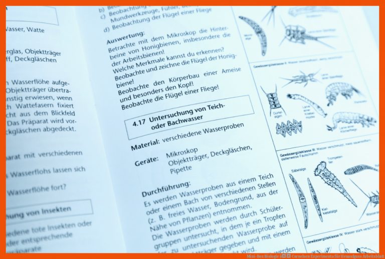 Mini-Box Biologie â Cornelsen Experimenta für heuaufguss arbeitsblatt
