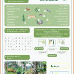 Mit ArbeitsblÃ¤ttern Die Natur Des BÃ¶hmerwaldes Entdecken Fuer Projekt Lernen Lernen Arbeitsblätter