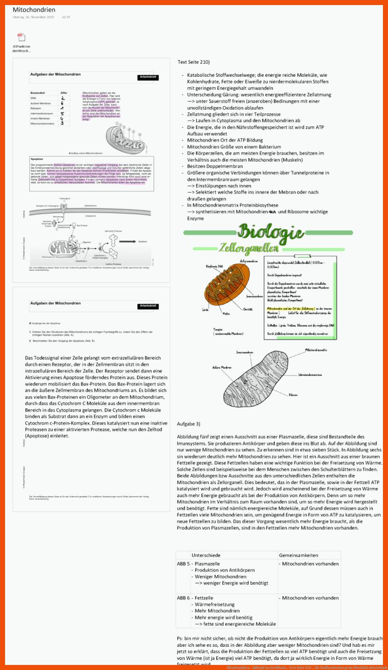 Mitochondrien - ABFunk'on derMitoch... Text Seite 210 ... für stoffwechselwege im überblick arbeitsblatt