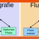 Modellversuch Zur Chromatographie - Untersuchung Der Farben Von ... Fuer Papierchromatographie Arbeitsblatt