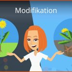 Modifikation Fuer Mutation Und Modifikation Arbeitsblatt Lösungen
