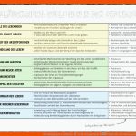 Modulbaukasten Evolution FÃ¼r Die Grundschule â Pindactica Fuer Systematik Der Lebewesen Arbeitsblatt