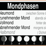 Mondphasen Gratis Physik-lernplakat Wissens-poster 8500 ... Fuer Mondphasen Arbeitsblatt