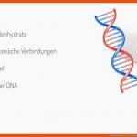 Monosaccharide (vorschau) Fuer Kohlenhydrate Im überblick Arbeitsblatt Klett Lösungen