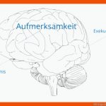 Ms Kognition - Kognitive Ãbungen Fuer Tebonin Arbeitsblätter