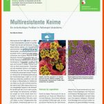 Multiresistente Keime - Ein Vielschichtiges Problem Im Rollenspiel ... Fuer Keimung Arbeitsblatt