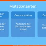 Mutation â¢ Genmutation, Chromosomen- Und Genommutation Â· [mit Video] Fuer Mutation Und Modifikation Arbeitsblatt Lösungen