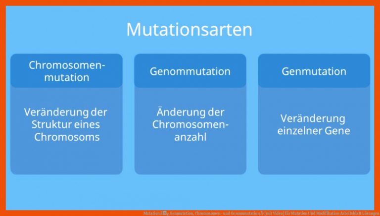 Mutation â¢ Genmutation, Chromosomen- Und Genommutation Â· [mit Video] Fuer Mutation Und Modifikation Arbeitsblatt Lösungen