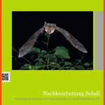 Nachbearbeitung Schall by Paul Scherrer Institut - issuu Fuer Der Gasbrenner Arbeitsblatt Lösung Klett