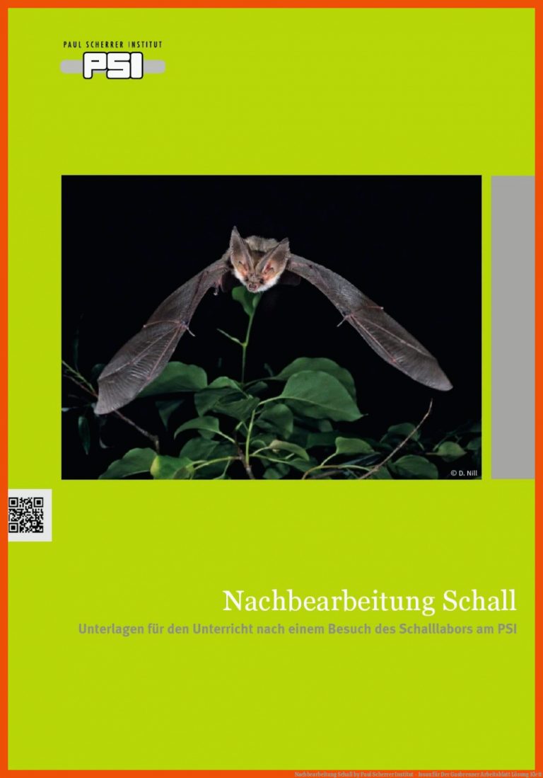 Nachbearbeitung Schall by Paul Scherrer Institut - issuu Fuer Der Gasbrenner Arbeitsblatt Lösung Klett
