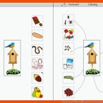 Nahrung Von VÃ¶geln â¢ Gpaed.de Fuer Bestandteile Der Nahrung Arbeitsblatt