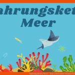 Nahrungskette Meer - Das Leben Unter Wasser Leicht ErklÃ¤rt Fuer Nahrungskette Meer Arbeitsblatt